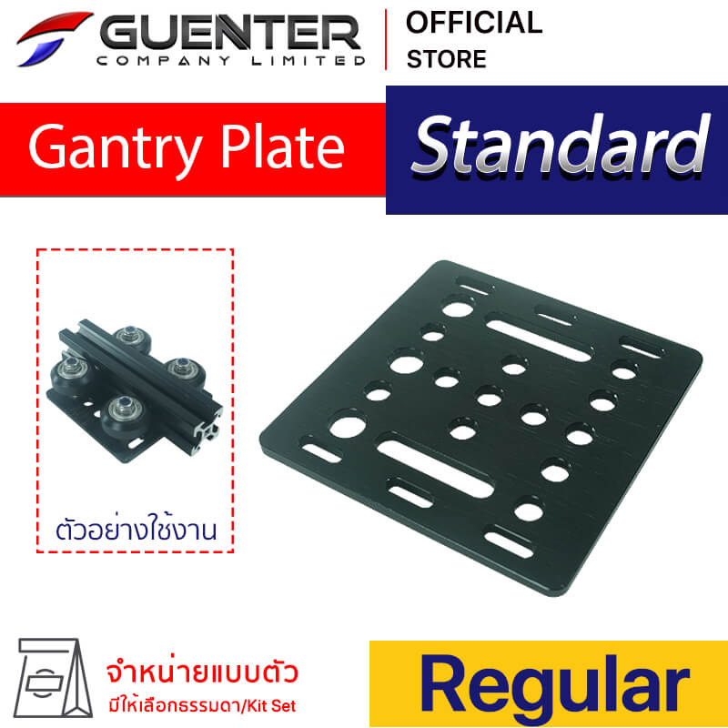 Gantry Plate Standard