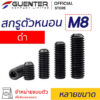 สกรูตัวหนอนดำ น็อตตัวหนอนดำ M8 หลายขนาด- Guenter.co.th