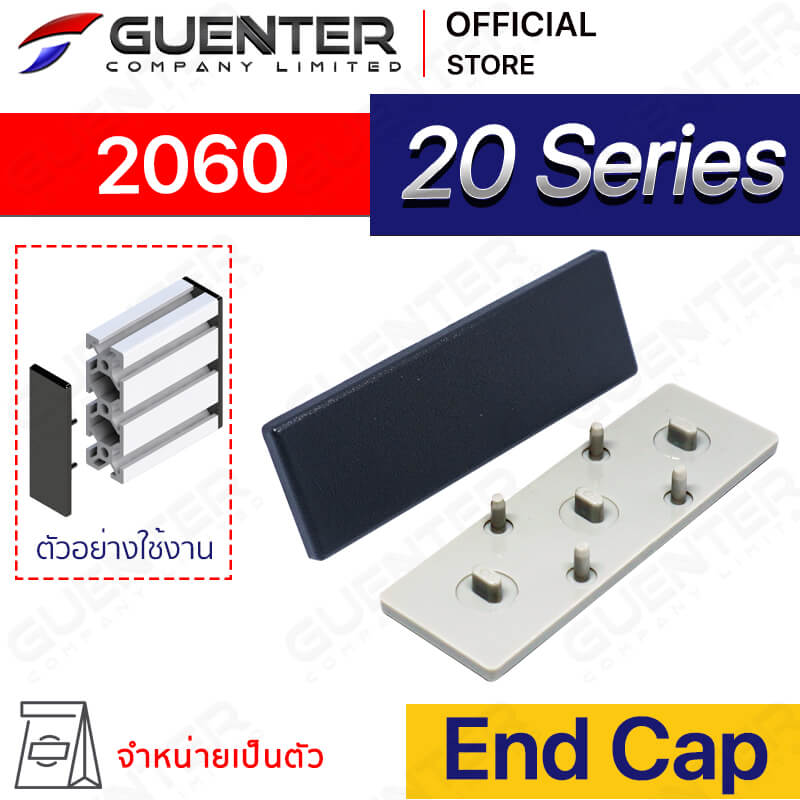 End Cap 2060 - 20 Series - ฝาปิดปลายอลูมิเนียมโปรไฟล์ซีรี่ 20 - Web_1 - Guenter.co.th