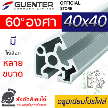 End Cap 30-DE60 ใช้กับอลูมิเนียมโปรไฟล์ 30x30 DE60