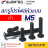 สกรูโปรไฟล์หัวแบนดำ M5